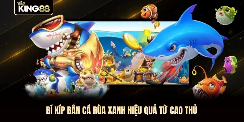 Bí kíp bắn cá rùa xanh hiệu quả từ cao thủ Bí kíp bắn cá rùa xanh hiệu quả từ cao thủ