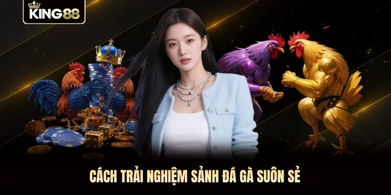 Cách trải nghiệm sảnh đá gà suôn sẻ