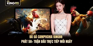 Đá Gà Campuchia KING88 - Phát 50+ Trận Đấu Trực Tiếp Mỗi Ngày