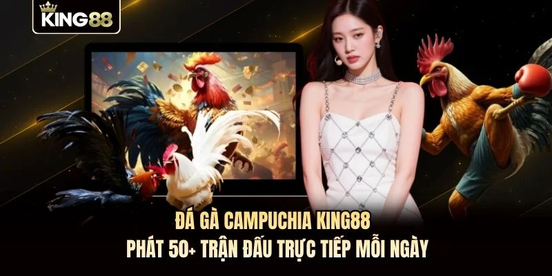 Đá Gà Campuchia KING88 - Phát 50+ Trận Đấu Trực Tiếp Mỗi Ngày