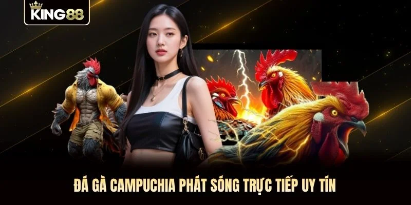 Đá gà Campuchia phát sóng trực tiếp uy tín