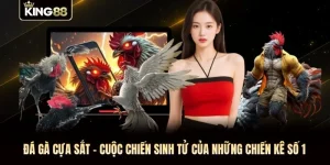 Đá Gà Cựa Sắt - Cuộc Chiến Sinh Tử Của Những Chiến Kê Số 1