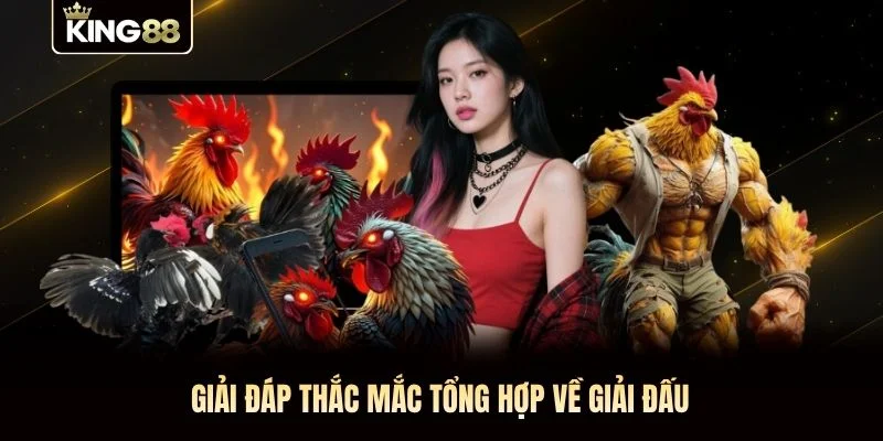 Giải đáp thắc mắc tổng hợp về giải đấu