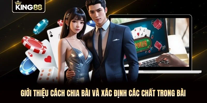 Giới thiệu cách chia bài và xác định các chất trong bài Giới thiệu cách chia bài và xác định các chất trong bài