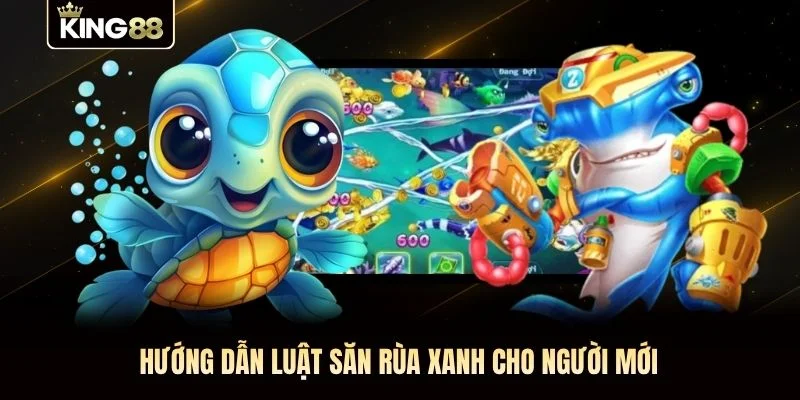 Hướng dẫn luật săn rùa xanh cho người mới Hướng dẫn luật săn rùa xanh cho người mới
