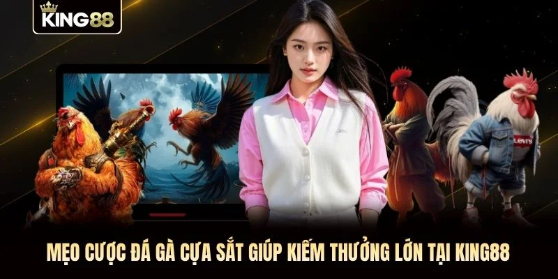 Mẹo cược đá gà cựa sắt giúp kiếm thưởng lớn tại KING88