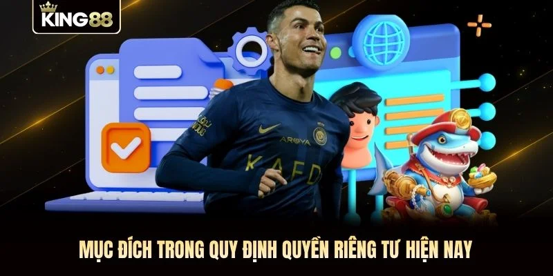 Mục đích trong quy định quyền riêng tư hiện nay Mục đích trong quy định quyền riêng tư hiện nay