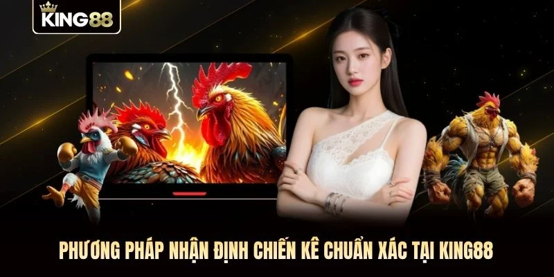 Phương pháp nhận định chiến kê chuẩn xác tại KING88