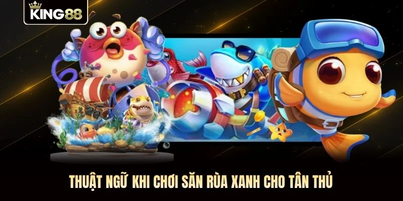 Thuật ngữ khi chơi săn rùa xanh cho tân thủ Thuật ngữ khi chơi săn rùa xanh cho tân thủ