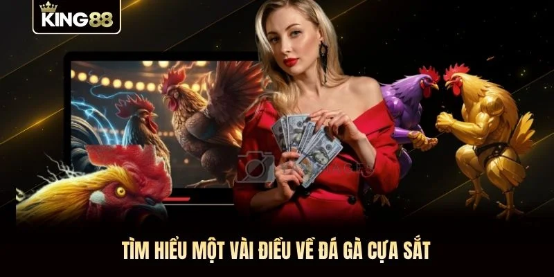 Tìm hiểu một vài điều về đá gà cựa sắt